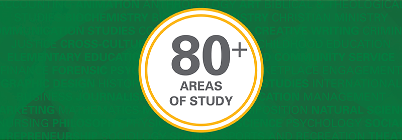 80+ Areas of Study