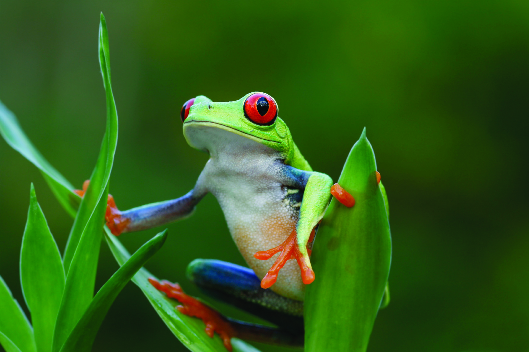 costa rica trip