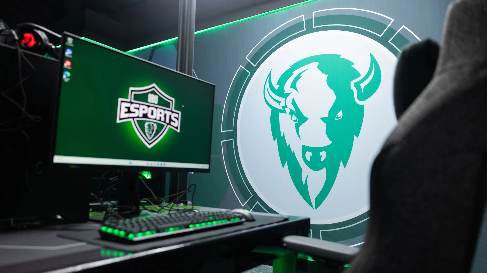 Single computer gaming station with Bison Log in background