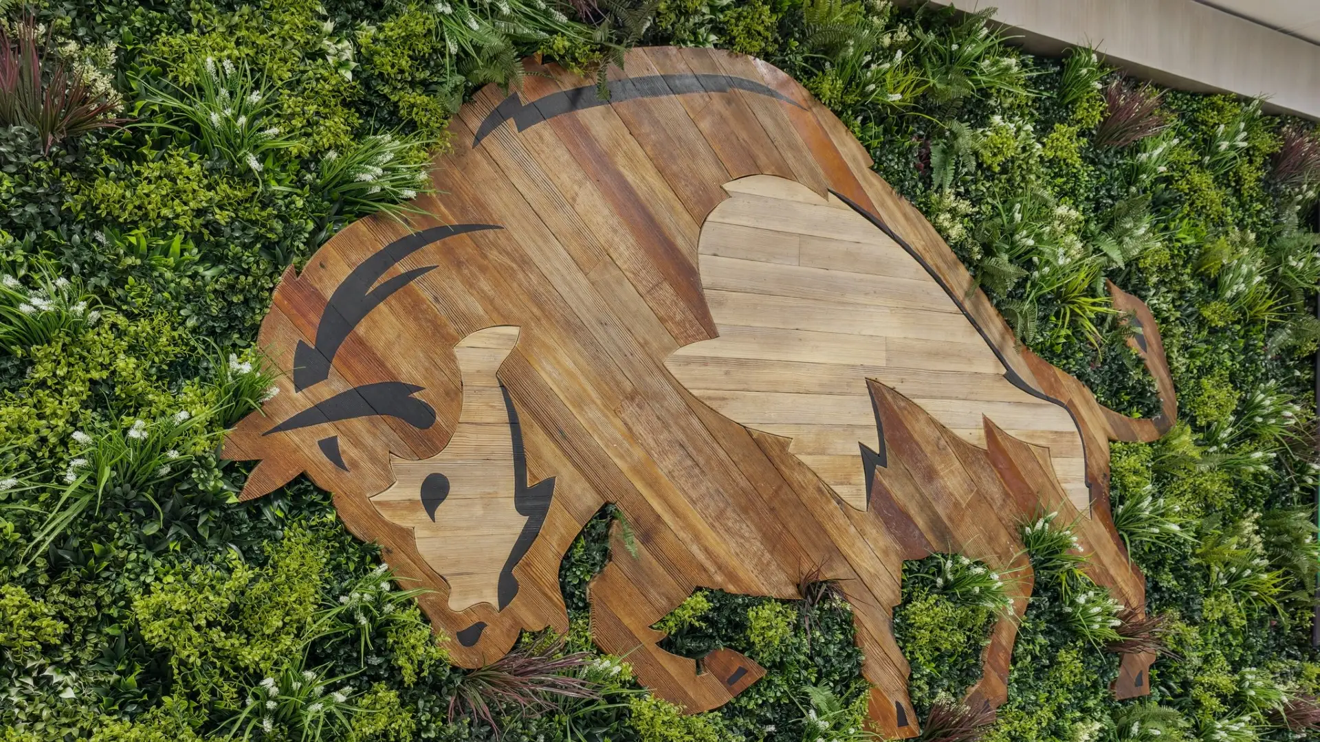 Wooden bison wall art made from wooden planks form the old Shawnee Hall